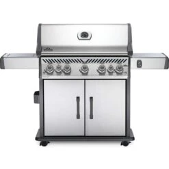 Napoleon Rogue 5 Burner Natural Gas Grill Silver