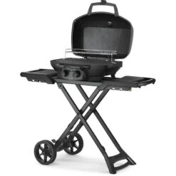Napoleon Grills Phantom TravelQ PRO285X Gas Grill, Propane 17 Napoleon Grills Phantom TravelQ PRO285X Gas Grill, Propane -Napoleon Grills Hub napoleon grills phantom travelq pro285x gas grill propane outdoor grills 40053169619221