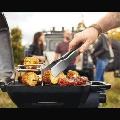 Napoleon Grills Phantom TravelQ PRO285X Gas Grill, Propane 26 Napoleon Grills Phantom TravelQ PRO285X Gas Grill, Propane -Napoleon Grills Hub napoleon grills phantom travelq pro285x gas grill propane outdoor grills 40053171454229