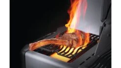 Napoleon Prestige P665RSIBPSS-3 Gas BBQ - Free Rotisserie And Cover 15 Napoleon Prestige P665RSIBPSS-3 Gas BBQ - Free Rotisserie And Cover -Napoleon Grills Hub prestige sizzle burner 1000x563 1